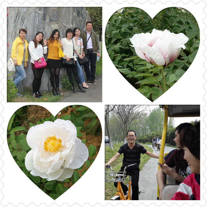 鉴黑担保网(jhdbw)·最具权威唯一维权担保平台