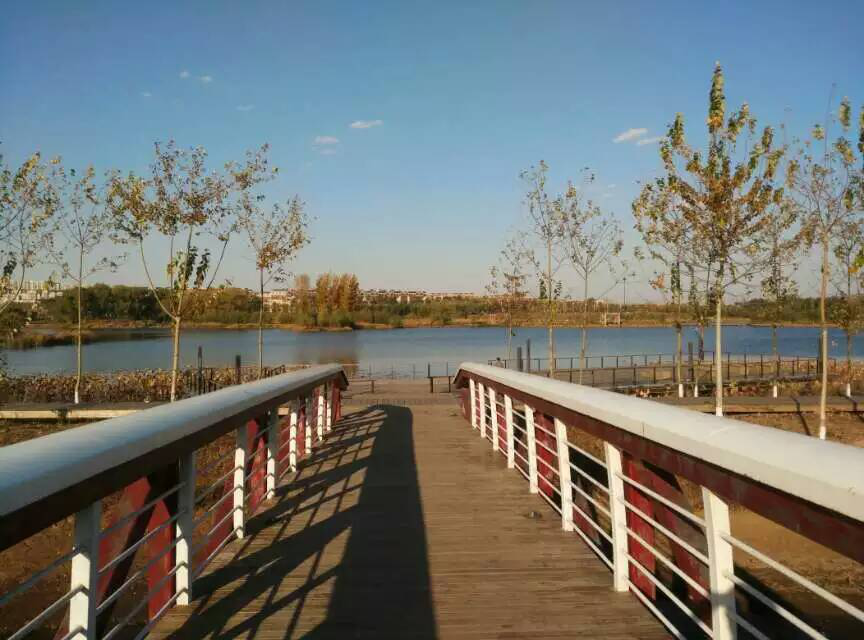 f_c7c00f691593593ad4f2f957590d3ac2