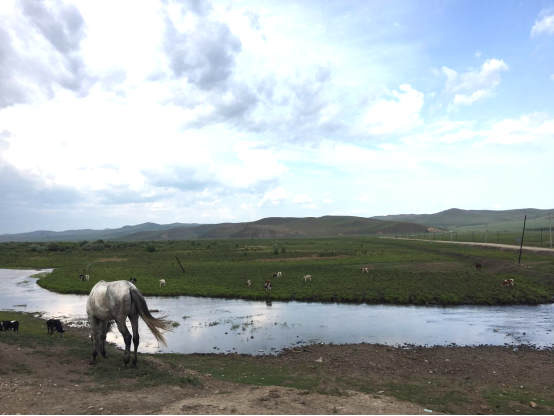 f_c783e099f6c76dd573bfcdab39b80afe